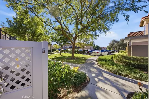 Rancho Santa Margarita, CA 92688,21 Silktassel