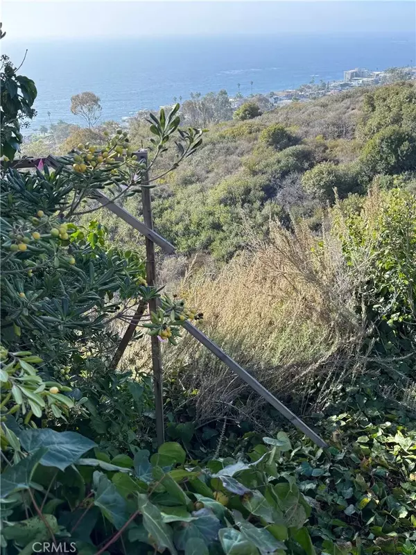 Laguna Beach, CA 92651,2333 San Clemente