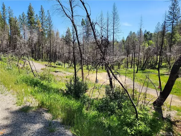 Berry Creek, CA 95916,7 Huffright