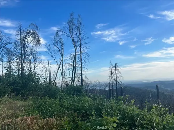 250 Webster, Berry Creek, CA 95916