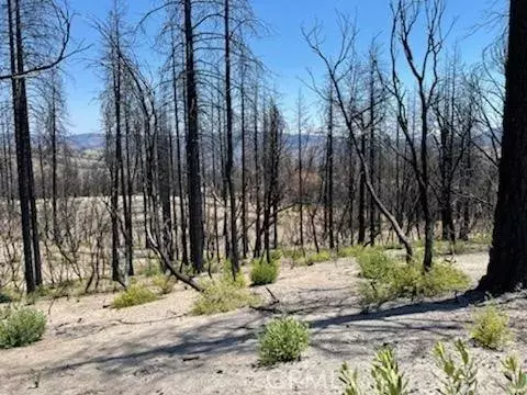 0 Indian Cemetery, Berry Creek, CA 95916