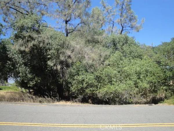 Oroville, CA 95966,586 Silver Leaf