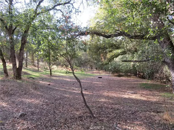 Oroville, CA 95966,3465 Foothill