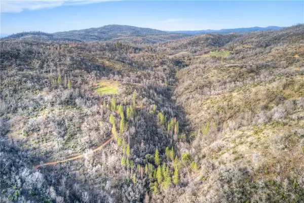 Berry Creek, CA 95916,993 Big Ridge