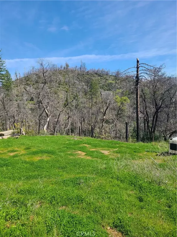 Berry Creek, CA 95916,519 Little Ridge Road