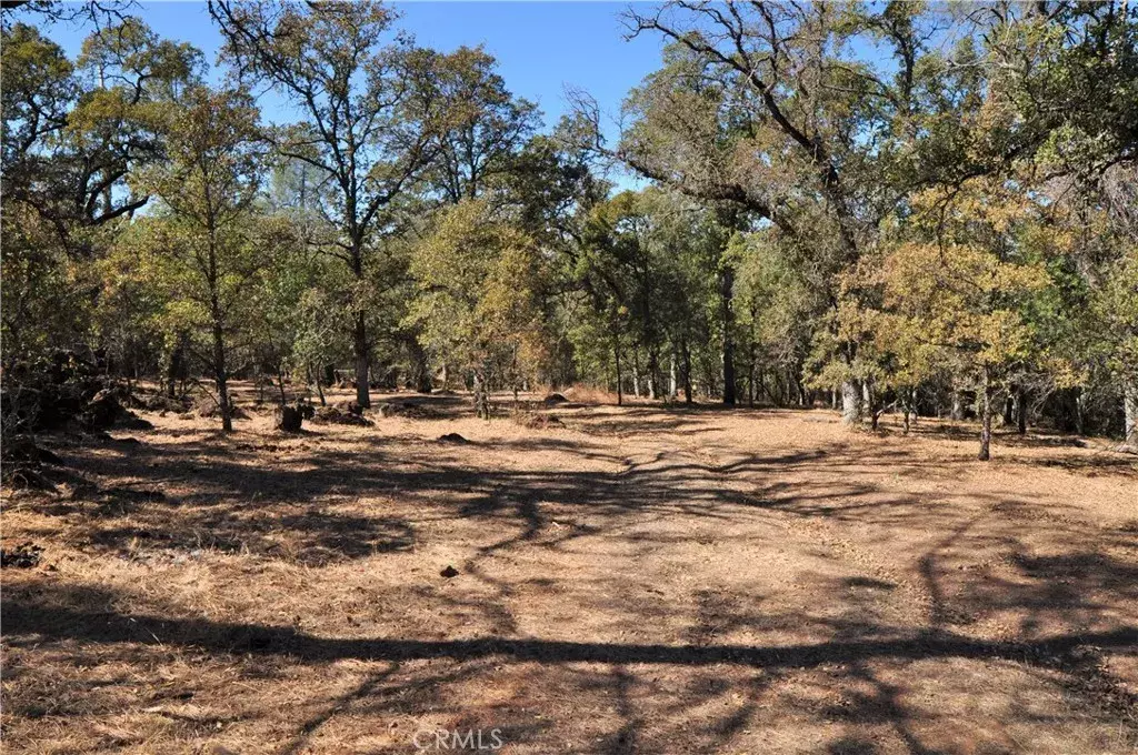 Oroville, CA 95966,205 Cynthiann