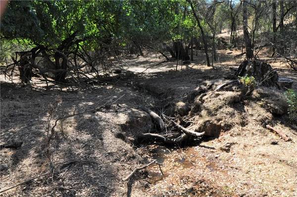 Oroville, CA 95966,205 Cynthiann