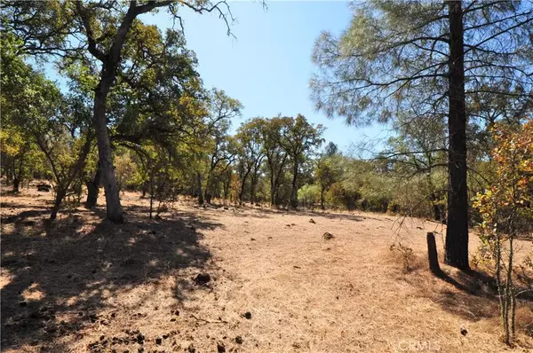 Oroville, CA 95966,205 Cynthiann