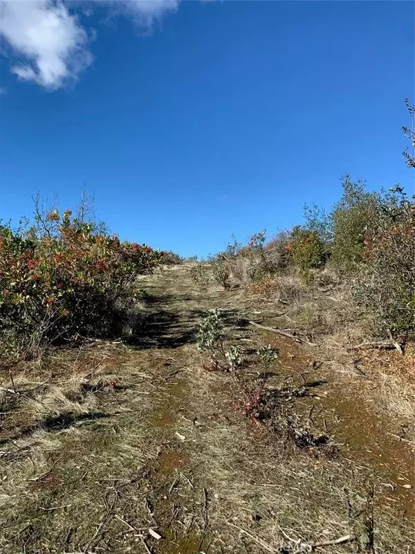 Oroville, CA 95966,0 Nikki Jo