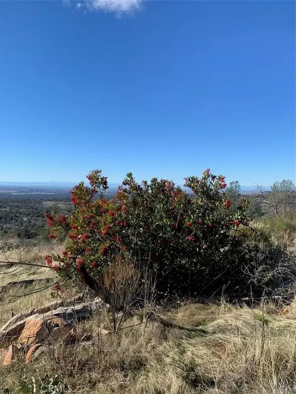 Oroville, CA 95966,0 Nikki Jo