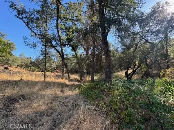 Browns Valley, CA 95918,11214 Peoria Road