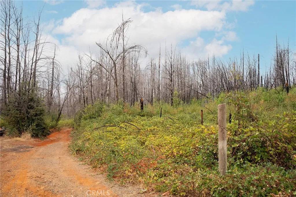 Berry Creek, CA 95916,0 Stephens Ridge Rd
