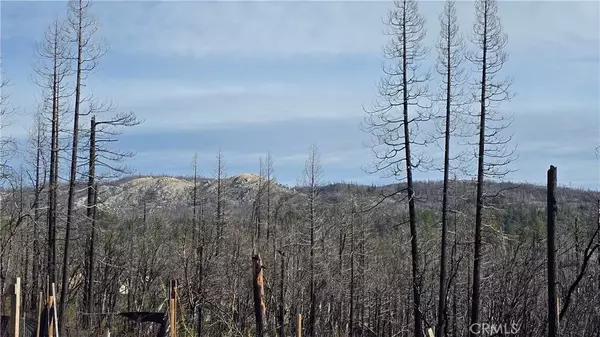 Berry Creek, CA 95916,7 Horseshoe