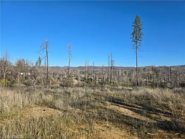 Berry Creek, CA 95916,28 Graystone