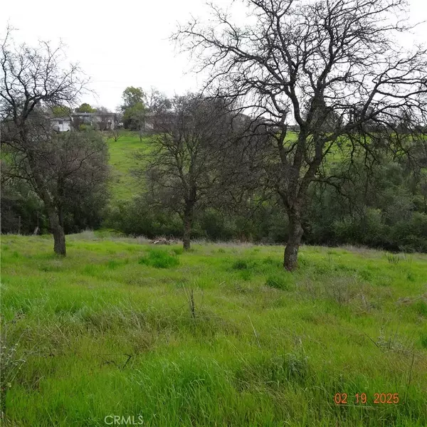 Oroville, CA 95966,0 Long Bar