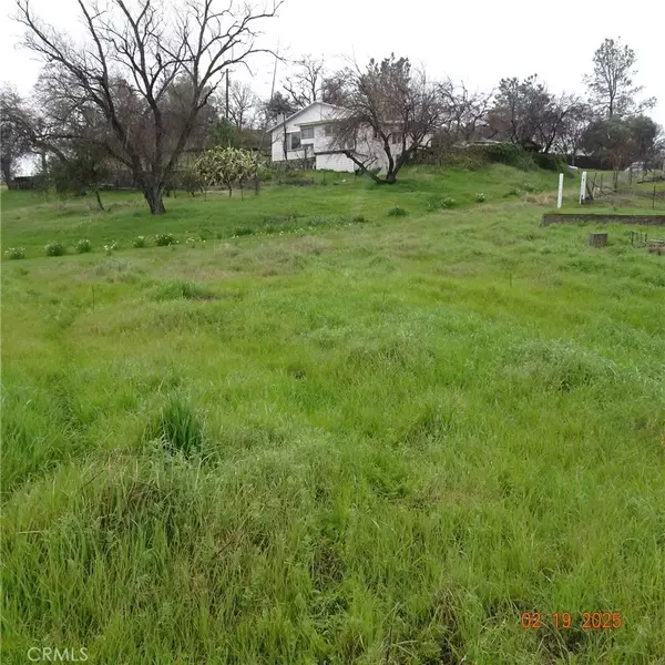 Oroville, CA 95966,290 Incline