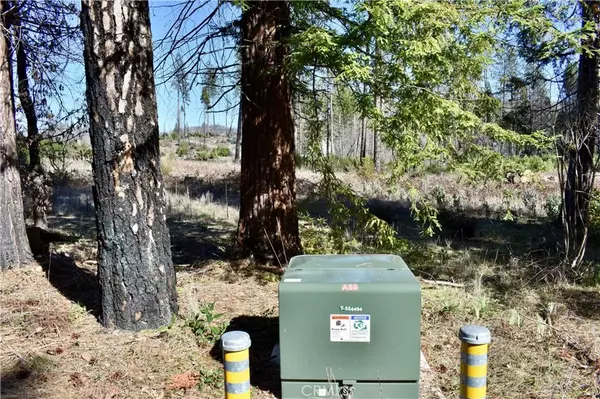 Berry Creek, CA 95916,20 Meadow