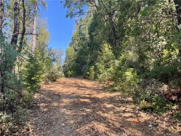 Challenge, CA 95925,0 Forbestown