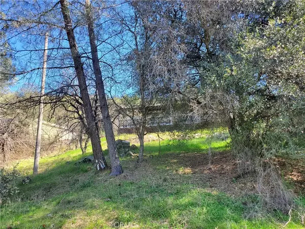 Oroville, CA 95966,520 Black Bart Road