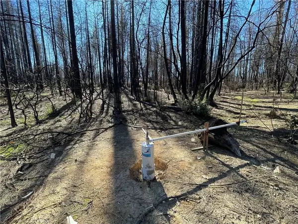 Berry Creek, CA 95916,0 Shane