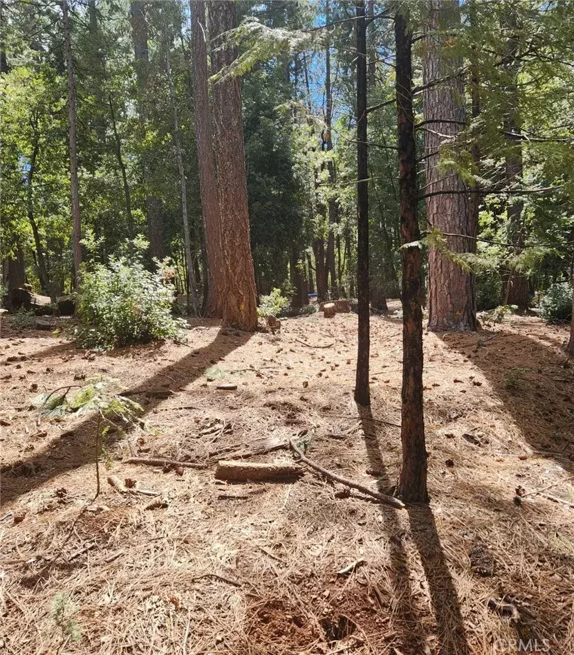 Clipper Mills, CA 95930,11254 Winding