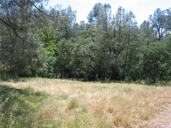 Oroville, CA 95966,211 Lemon Hill