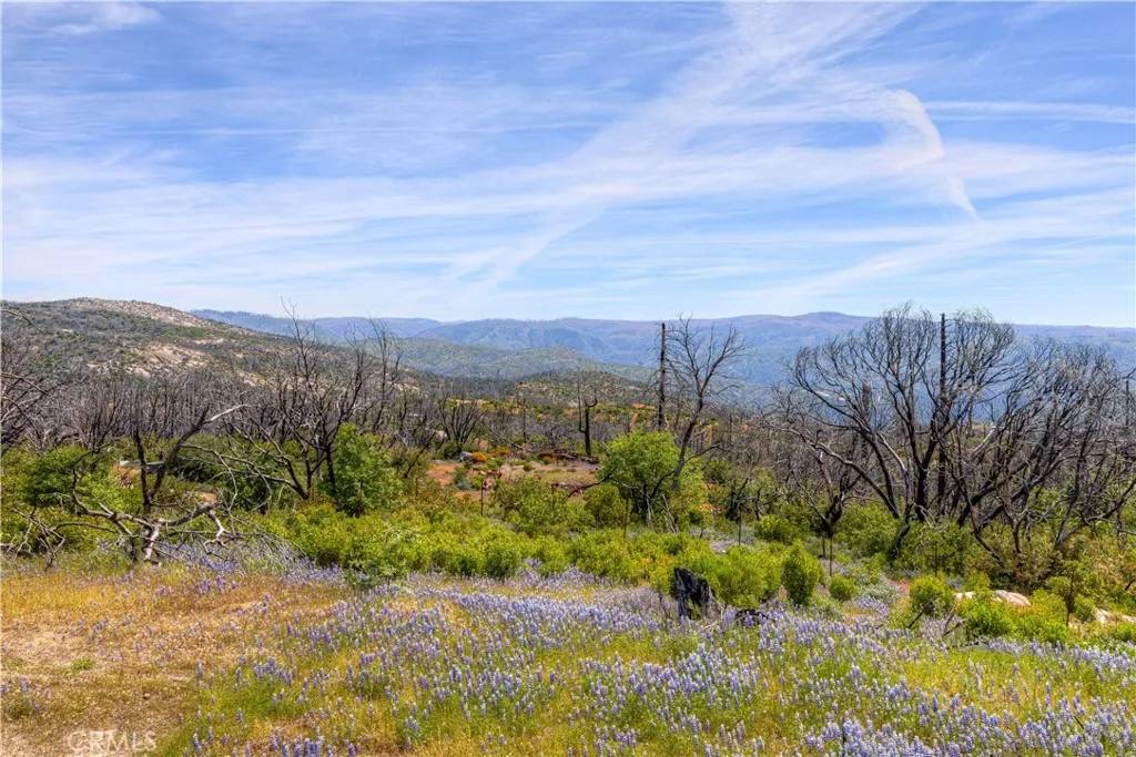 Berry Creek, CA 95916,49 Indian Cemetery