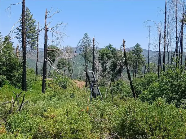 Oroville, CA 95965,13392 Hog Ranch