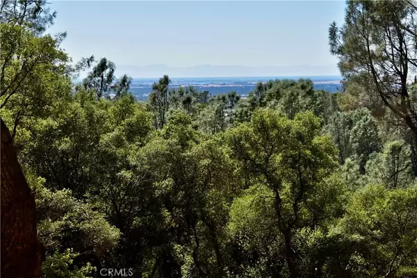 Oroville, CA 95966,0 Apica