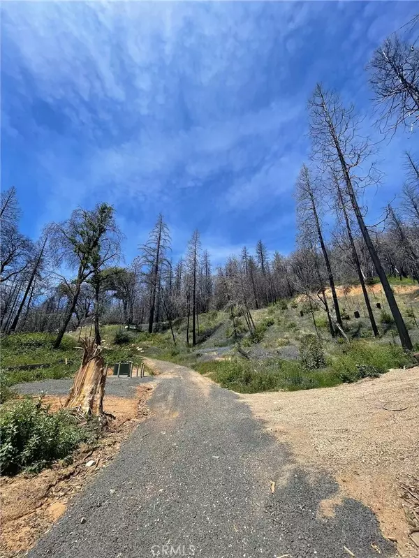 Berry Creek, CA 95916,180 Mirage Lake