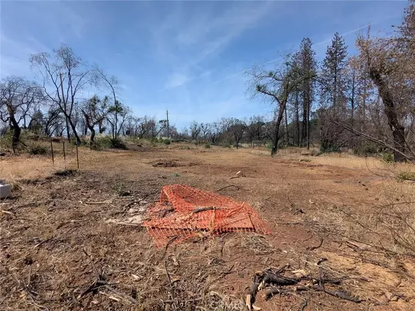 Cohasset, CA 95973,8499 Cohasset