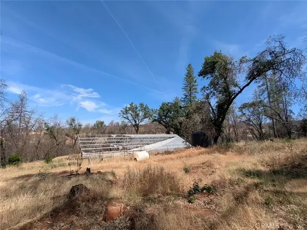 Cohasset, CA 95973,8499 Cohasset