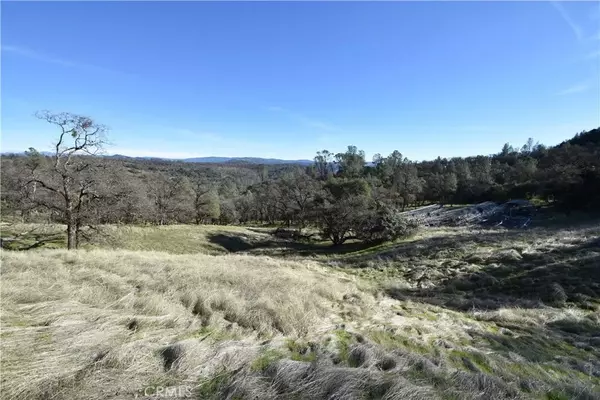 Oroville, CA 95965,1193 Oregon Gulch