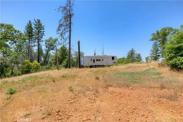 Oroville, CA 95965,12059 Andy Mountain