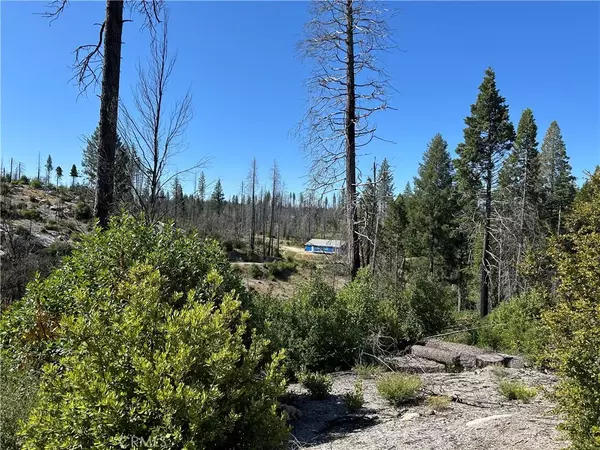 Berry Creek, CA 95916,0 Oak