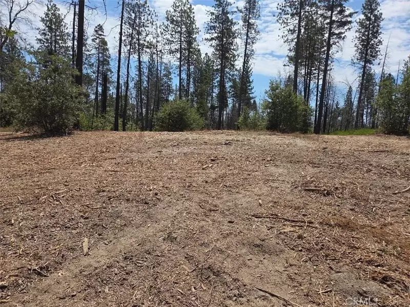 1090 Bald Rock, Berry Creek, CA 95916
