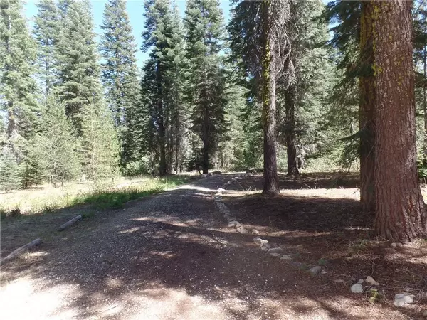 Bucks Lake, CA 95971,851 Countryman Drive
