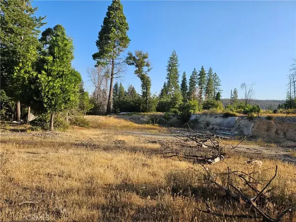 18 Sand Creek, Berry Creek, CA 95916