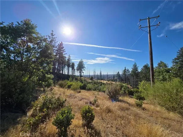 Oroville, CA 95965,11269 Dawn