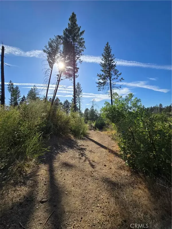 Oroville, CA 95965,11269 Dawn