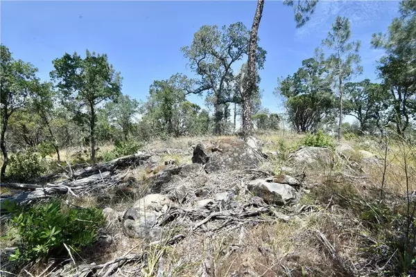 Oroville, CA 95966,0 Mackey