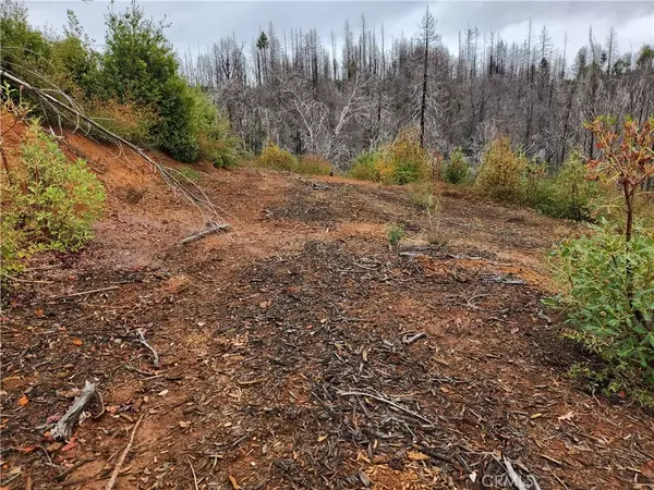 Berry Creek, CA 95916,0 Oro-Quincy