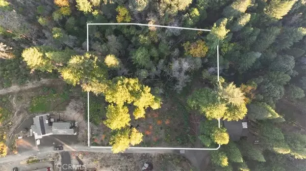 0 Path in the Woods, Berry Creek, CA 95916