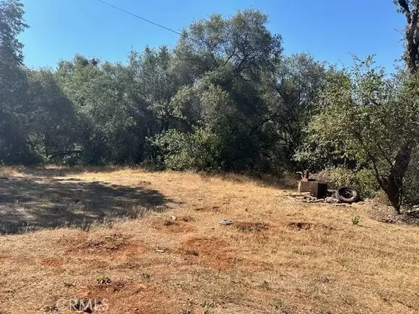 Oroville, CA 95966,1403 Forbestown