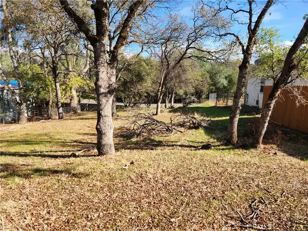 Oroville, CA 95966,590 Lodgeview