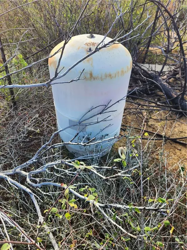 Berry Creek, CA 95916,120 Woodsmoke