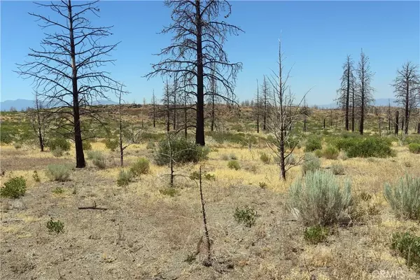 Weed, CA 96094,0 Juniper Valley