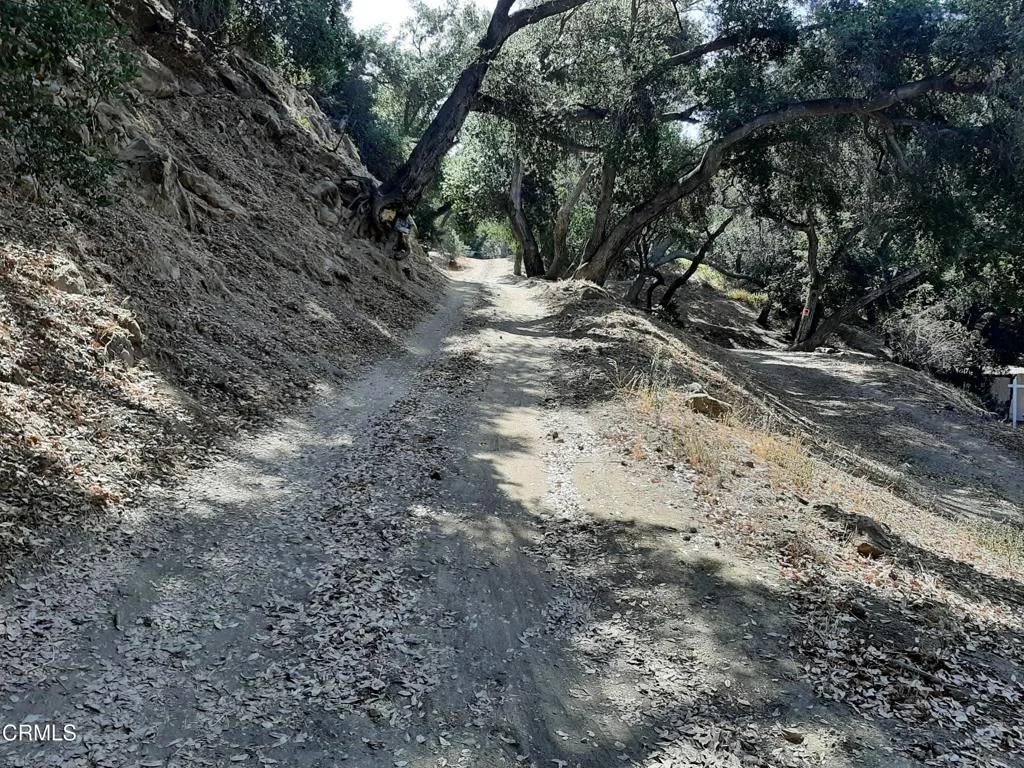 Topanga, CA 90290,1006 N Topanga Canyon