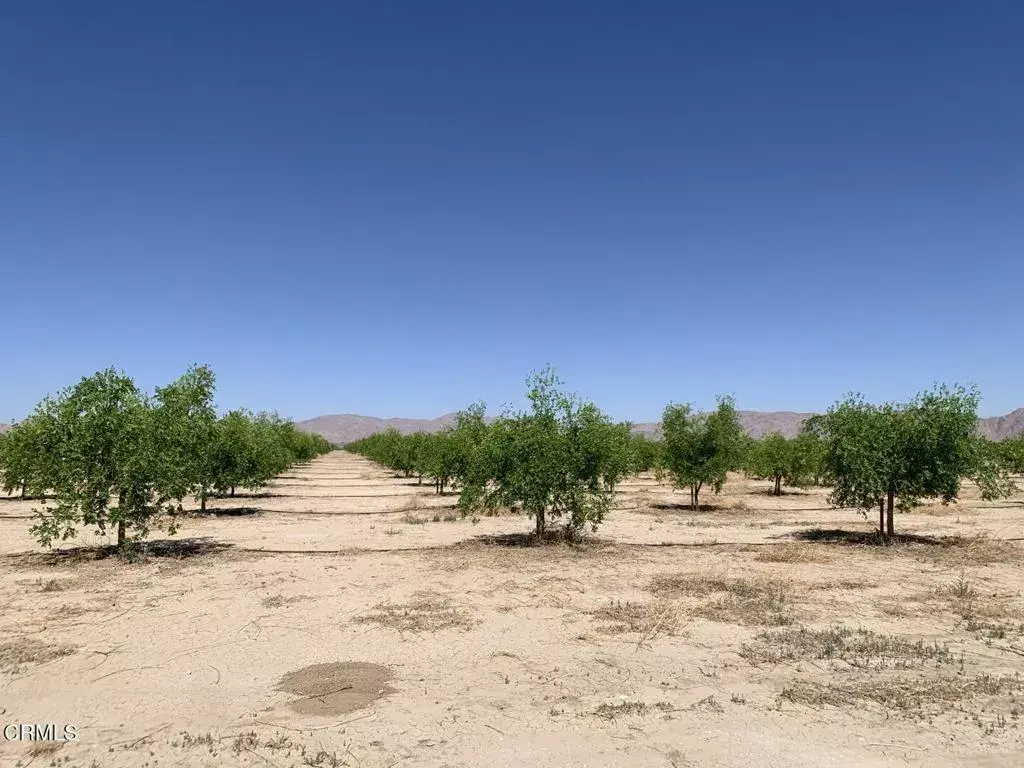 Lucerne Valley, CA 92356,12500 Locust
