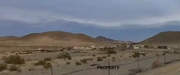 Baker, CA 92309,45101 Afton Canyon